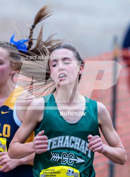 Thumbnail 1 in CIF State Cross Country Championships (Girls D4 Race) photogallery.