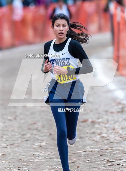 Thumbnail 3 in CIF State Cross Country Championships (Girls D4 Race) photogallery.