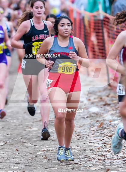 Thumbnail 1 in CIF State Cross Country Championships (Girls D4 Race) photogallery.