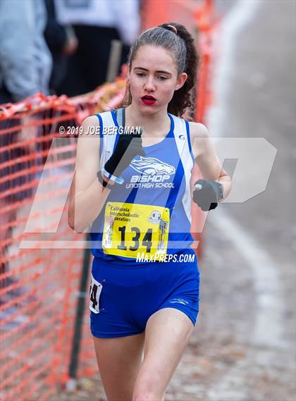 Thumbnail 1 in CIF State Cross Country Championships (Girls D4 Race) photogallery.