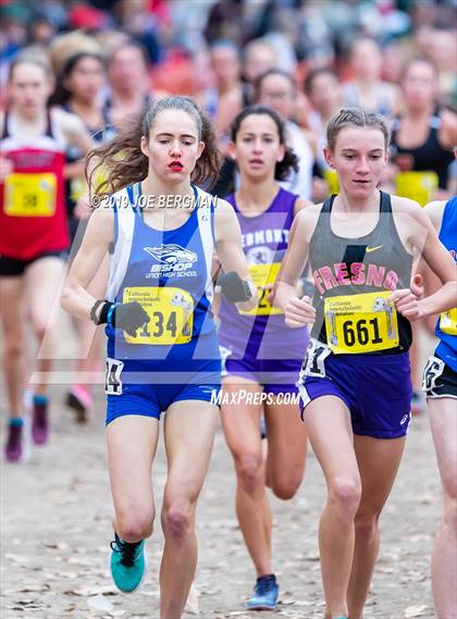 Thumbnail 1 in CIF State Cross Country Championships (Girls D4 Race) photogallery.
