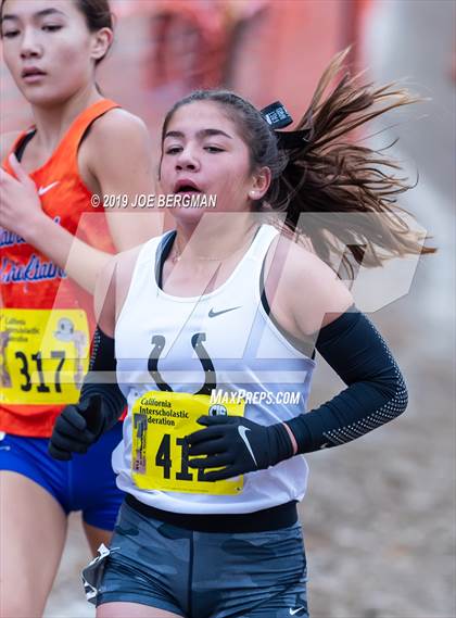 Thumbnail 3 in CIF State Cross Country Championships (Girls D4 Race) photogallery.