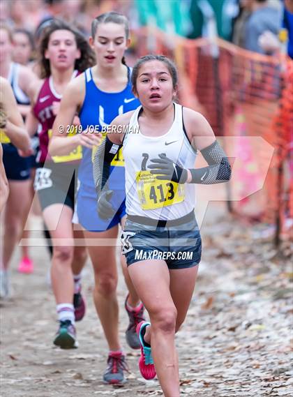 Thumbnail 2 in CIF State Cross Country Championships (Girls D4 Race) photogallery.