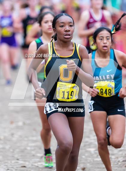 Thumbnail 2 in CIF State Cross Country Championships (Girls D4 Race) photogallery.