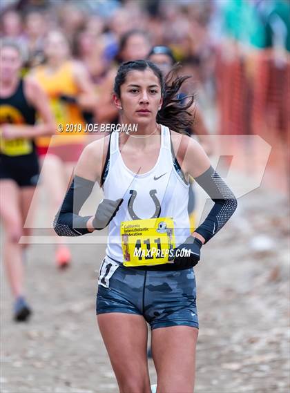 Thumbnail 1 in CIF State Cross Country Championships (Girls D4 Race) photogallery.