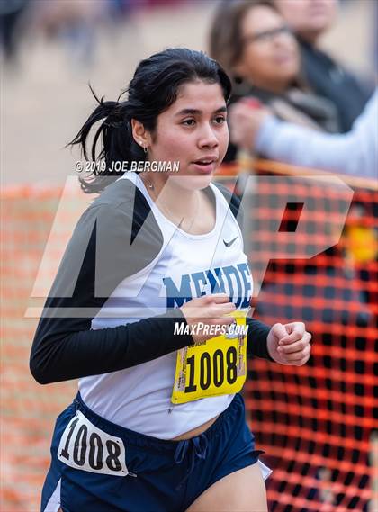 Thumbnail 1 in CIF State Cross Country Championships (Girls D4 Race) photogallery.