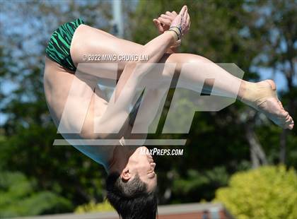 Thumbnail 1 in CIF State Diving Prelims photogallery.