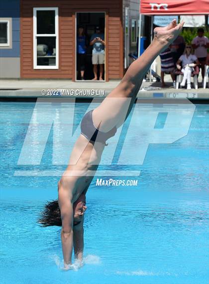 Thumbnail 1 in CIF State Diving Prelims photogallery.
