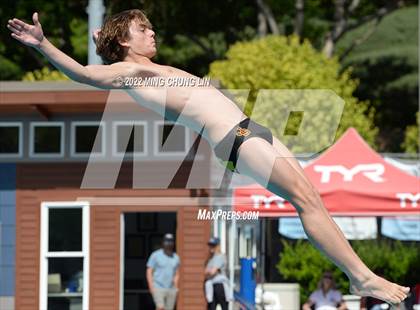 Thumbnail 1 in CIF State Diving Prelims photogallery.