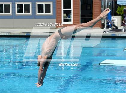 Thumbnail 1 in CIF State Diving Prelims photogallery.