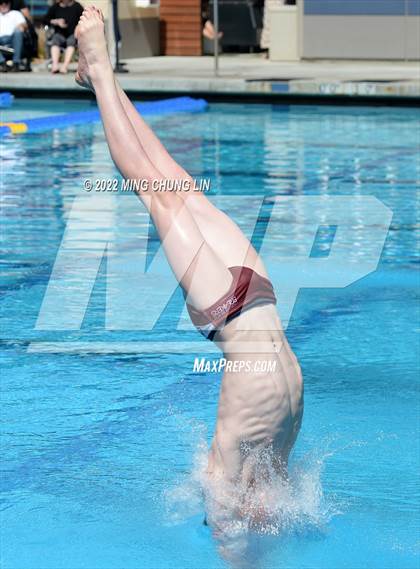 Thumbnail 3 in CIF State Diving Prelims photogallery.