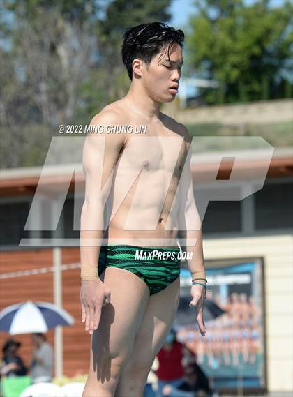 Thumbnail 1 in CIF State Diving Prelims photogallery.
