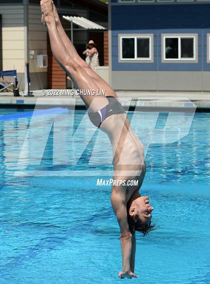 Thumbnail 3 in CIF State Diving Prelims photogallery.