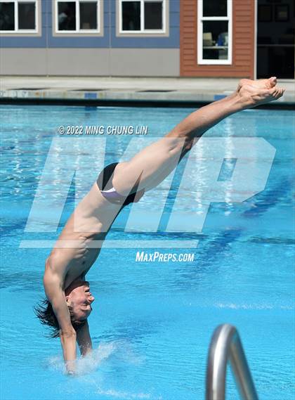 Thumbnail 1 in CIF State Diving Prelims photogallery.