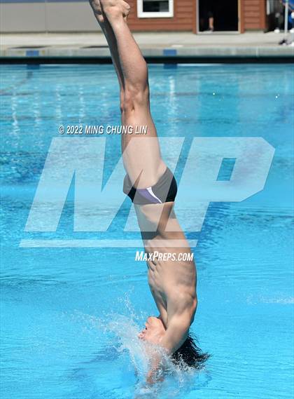 Thumbnail 1 in CIF State Diving Prelims photogallery.