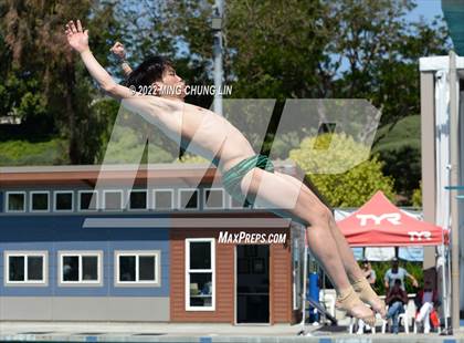 Thumbnail 1 in CIF State Diving Prelims photogallery.