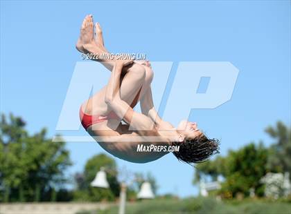 Thumbnail 1 in CIF State Diving Prelims photogallery.