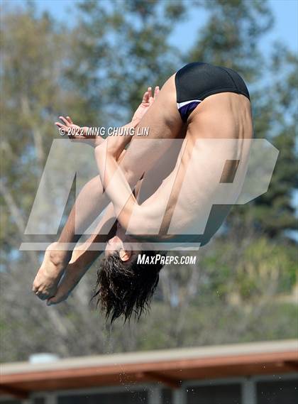 Thumbnail 1 in CIF State Diving Prelims photogallery.
