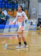 Photo from the gallery "Stadium @ Lakes"