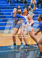 Photo from the gallery "Stadium @ Lakes"