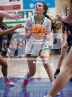 Photo from the gallery "Cuthbertson @ Weddington"