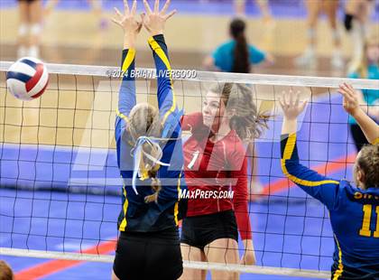 Thumbnail 3 in Simla vs. Haxtun (CHSAA 2A Round 2) photogallery.
