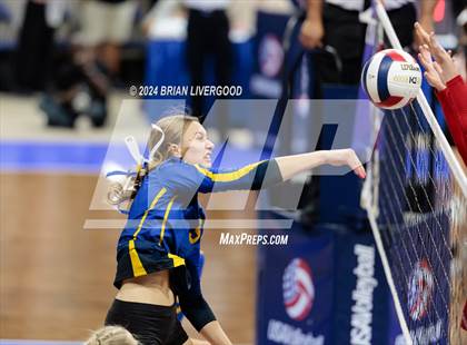 Thumbnail 3 in Simla vs. Haxtun (CHSAA 2A Round 2) photogallery.