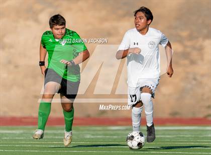 Thumbnail 1 in Pahrump Valley @ Virgin Valley photogallery.