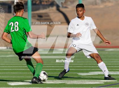 Thumbnail 3 in Pahrump Valley @ Virgin Valley photogallery.