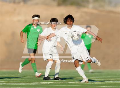 Thumbnail 1 in Pahrump Valley @ Virgin Valley photogallery.