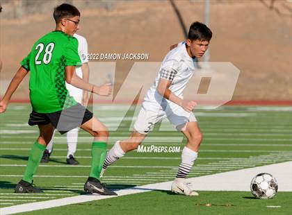 Thumbnail 1 in Pahrump Valley @ Virgin Valley photogallery.