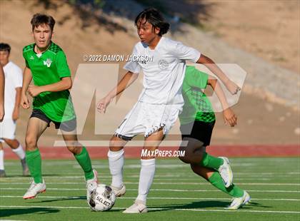 Thumbnail 2 in Pahrump Valley @ Virgin Valley photogallery.