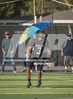 Photo from the gallery "St. Paul @ Servite"