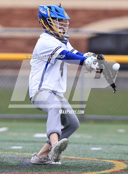 Thumbnail 3 in Penfield @ Irondequoit photogallery.