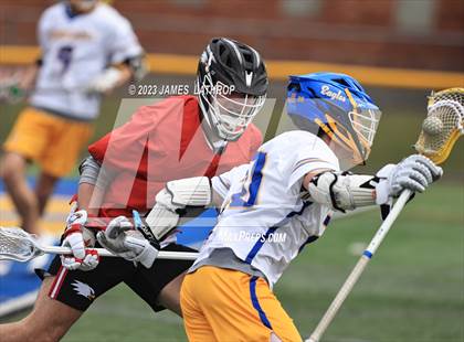 Thumbnail 2 in Penfield @ Irondequoit photogallery.