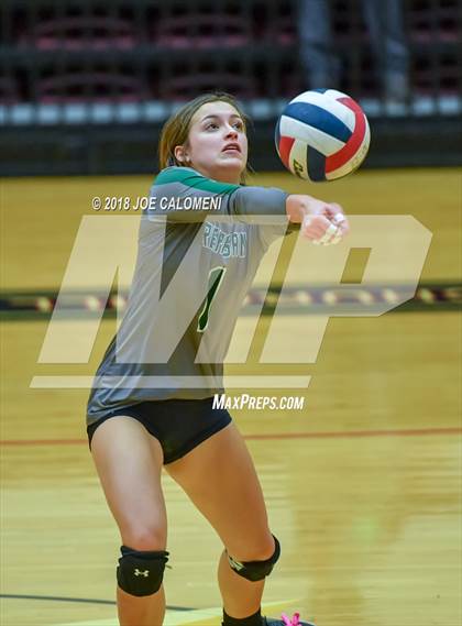 Thumbnail 2 in Reagan [Ronald] vs O'Connor (Class 6A Bidistrict) photogallery.