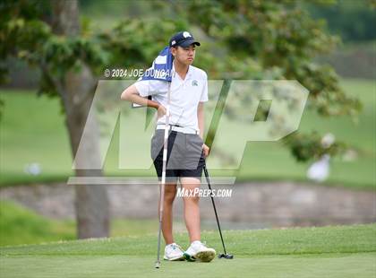 Thumbnail 2 in CIF State Boys Golf Championship photogallery.
