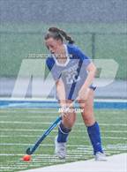 Photo from the gallery "Glastonbury @ Wilton"