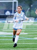 Photo from the gallery "Glastonbury @ Wilton"