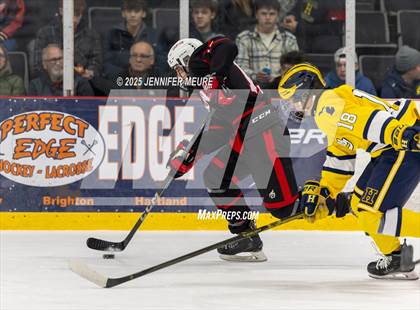 Thumbnail 3 in Canton @ Hartland photogallery.