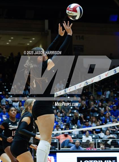 Thumbnail 1 in Jewett Leon vs. Nocona (UIL 2A D1 Volleyball Final) photogallery.