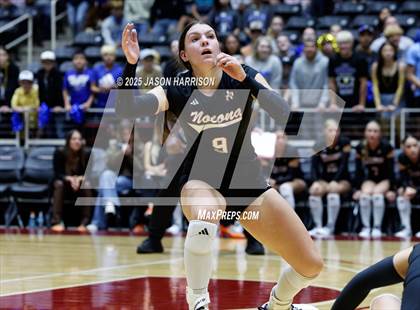 Thumbnail 1 in Jewett Leon vs. Nocona (UIL 2A D1 Volleyball Final) photogallery.