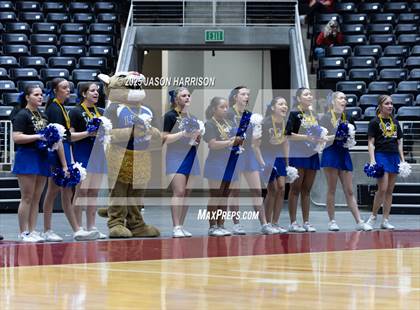 Thumbnail 3 in Jewett Leon vs. Nocona (UIL 2A D1 Volleyball Final) photogallery.