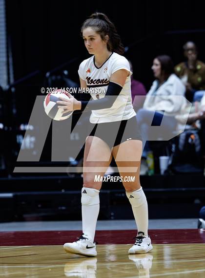 Thumbnail 1 in Jewett Leon vs. Nocona (UIL 2A D1 Volleyball Final) photogallery.