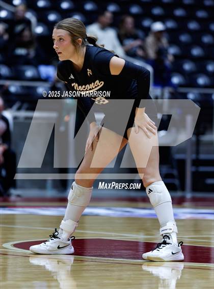 Thumbnail 2 in Jewett Leon vs. Nocona (UIL 2A D1 Volleyball Final) photogallery.