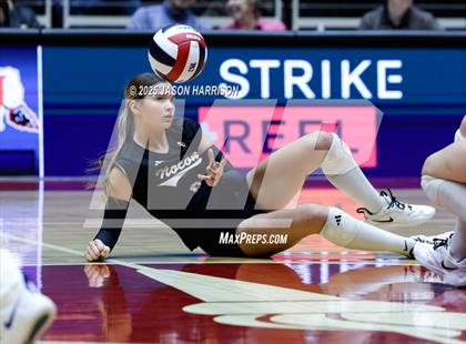 Thumbnail 1 in Jewett Leon vs. Nocona (UIL 2A D1 Volleyball Final) photogallery.