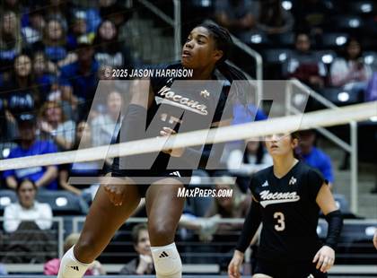Thumbnail 3 in Jewett Leon vs. Nocona (UIL 2A D1 Volleyball Final) photogallery.