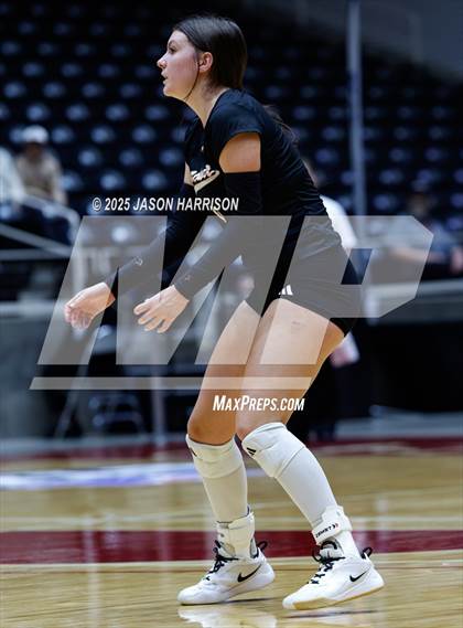 Thumbnail 3 in Jewett Leon vs. Nocona (UIL 2A D1 Volleyball Final) photogallery.