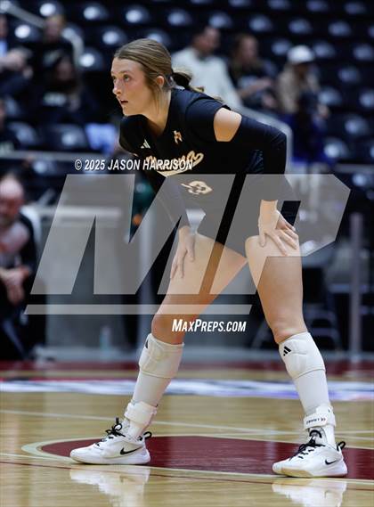 Thumbnail 1 in Jewett Leon vs. Nocona (UIL 2A D1 Volleyball Final) photogallery.
