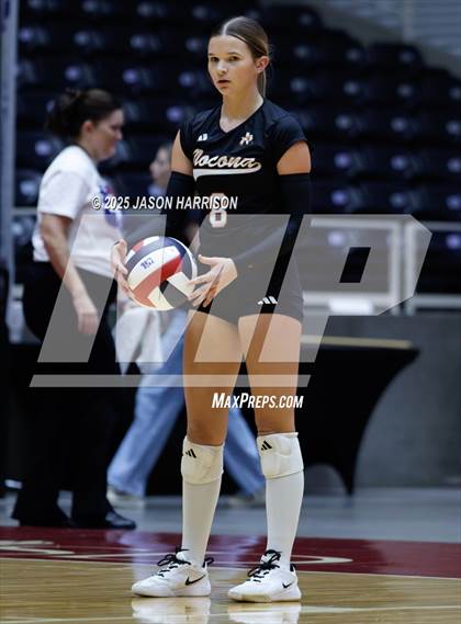 Thumbnail 1 in Jewett Leon vs. Nocona (UIL 2A D1 Volleyball Final) photogallery.